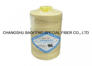 Para Aramid sewing thread